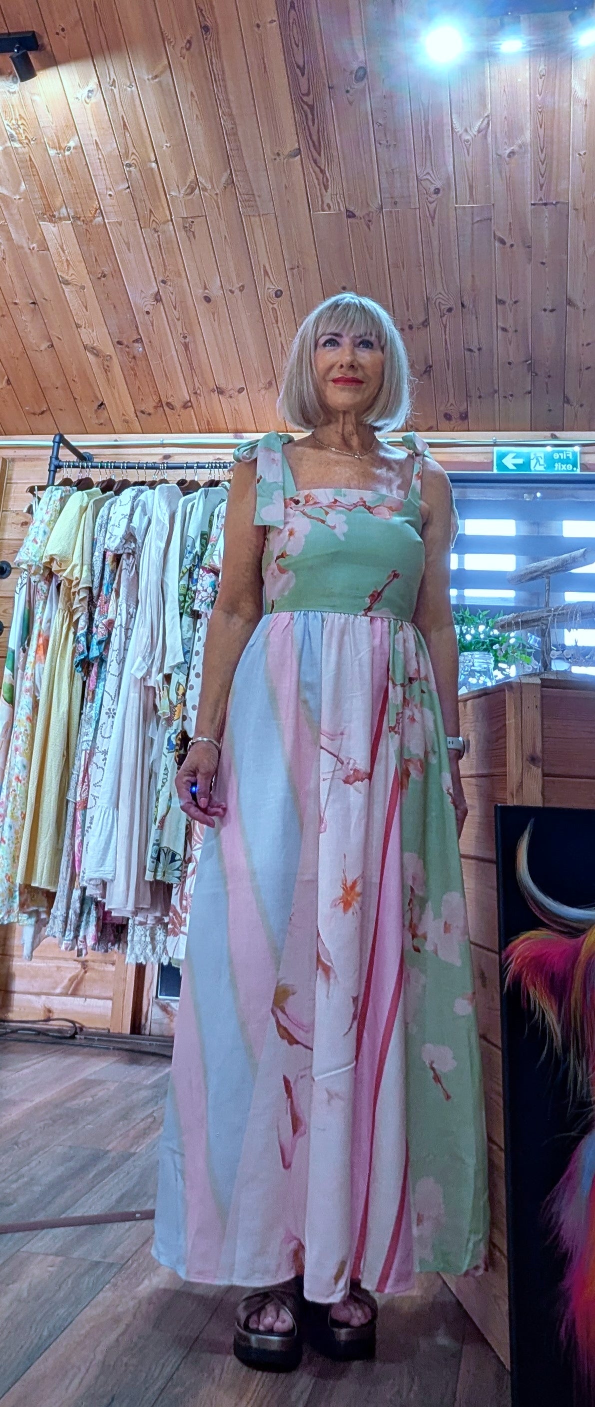 Emmy pastel printed maxi dress with shirred back