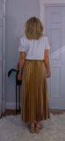 Rula Pleated Skirt