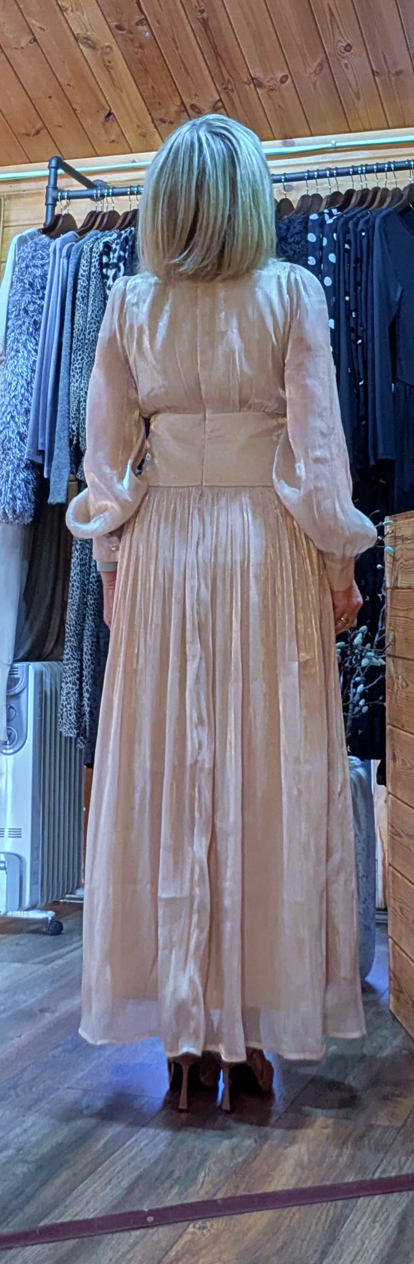 Ivory shimmer maxi party dress with floral design rear view