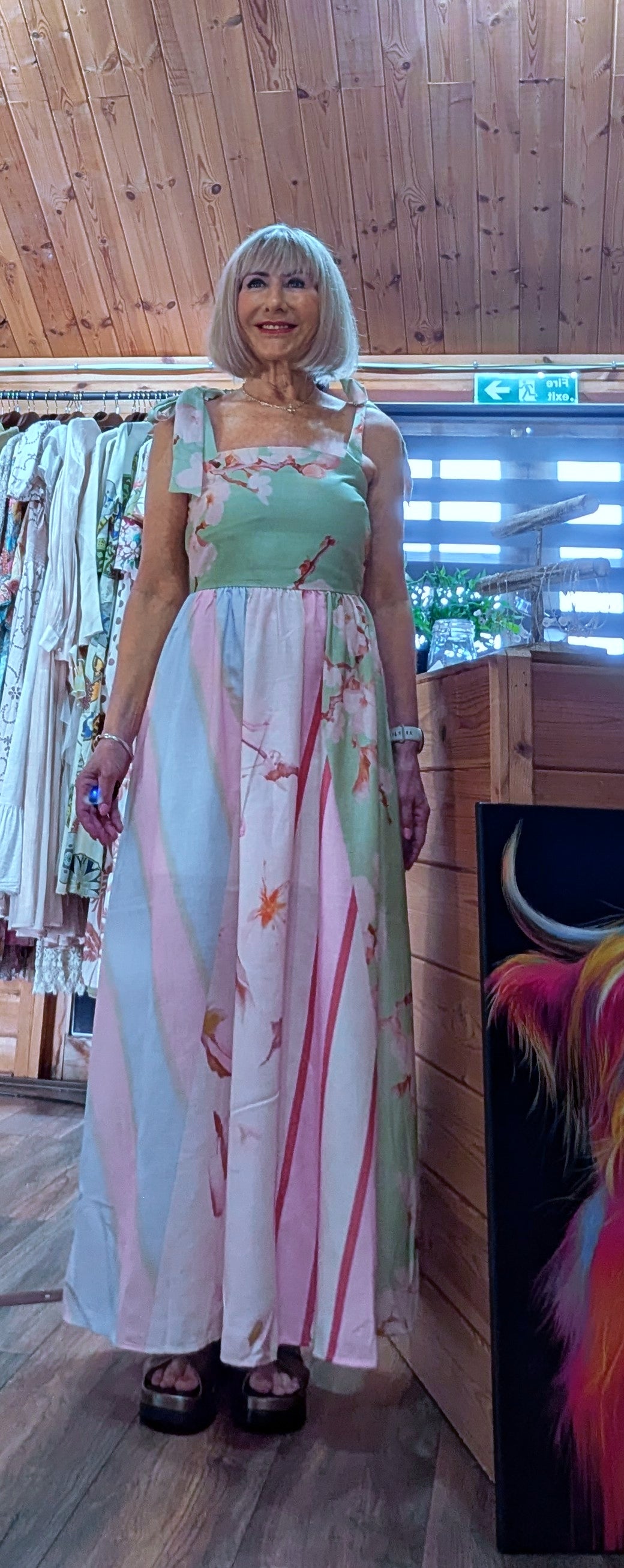 Emmy pastel printed maxi dress with shirred back